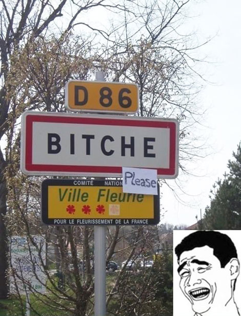 funny-France-sign-meme